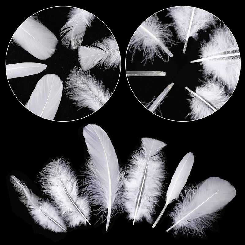 Larryhot White Craft Feathers Bulk - 240pcs 6 Style Mixed Natural Feathers for Wedding Home Party, Dream Catcher Supplies and DIY Crafts (White) - Image 3